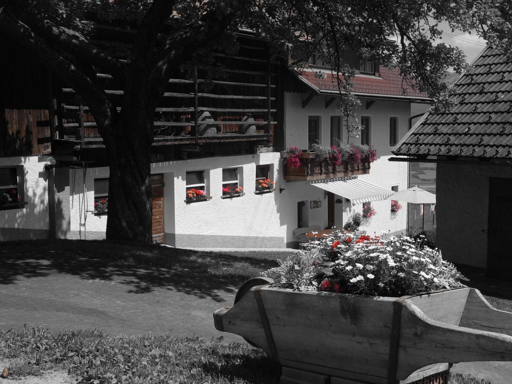 Ferienwohnung Entschleunigungshof Huberbauer Kotschach-Mauthen Exterior foto